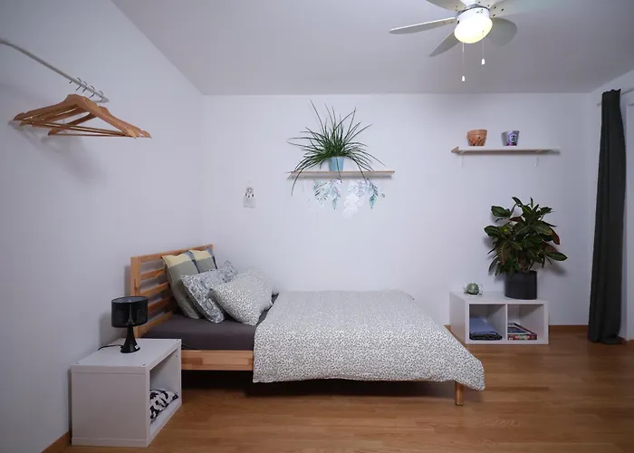 Doppelzimmer In Der Naehe Des Flusses Und Stadions